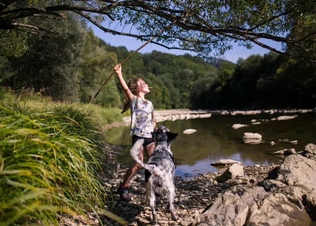Najlepsze miejsca na spacer z psem w Podkarpackiem, które musisz znać