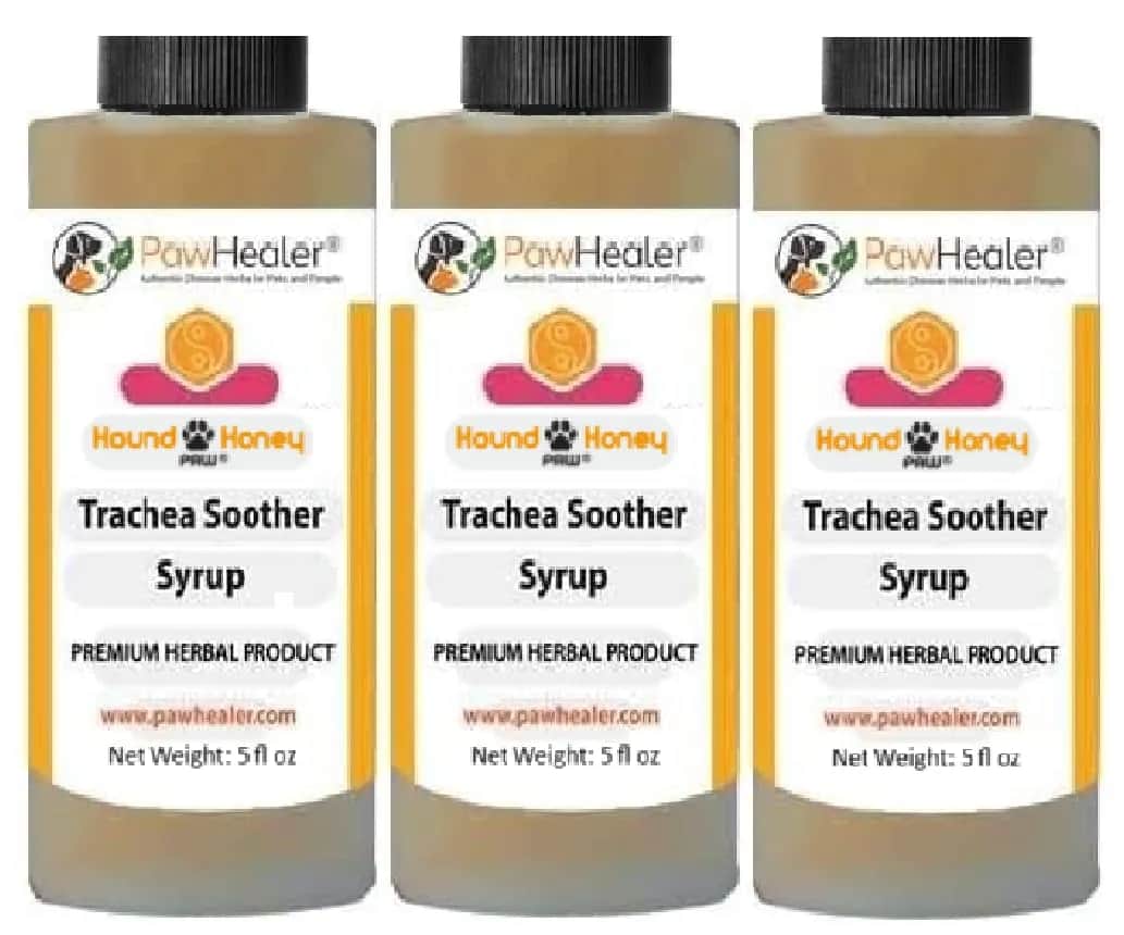 Najlepszy syrop na kaszel dla psa - ulga w kaszlu i zdrowie pupila