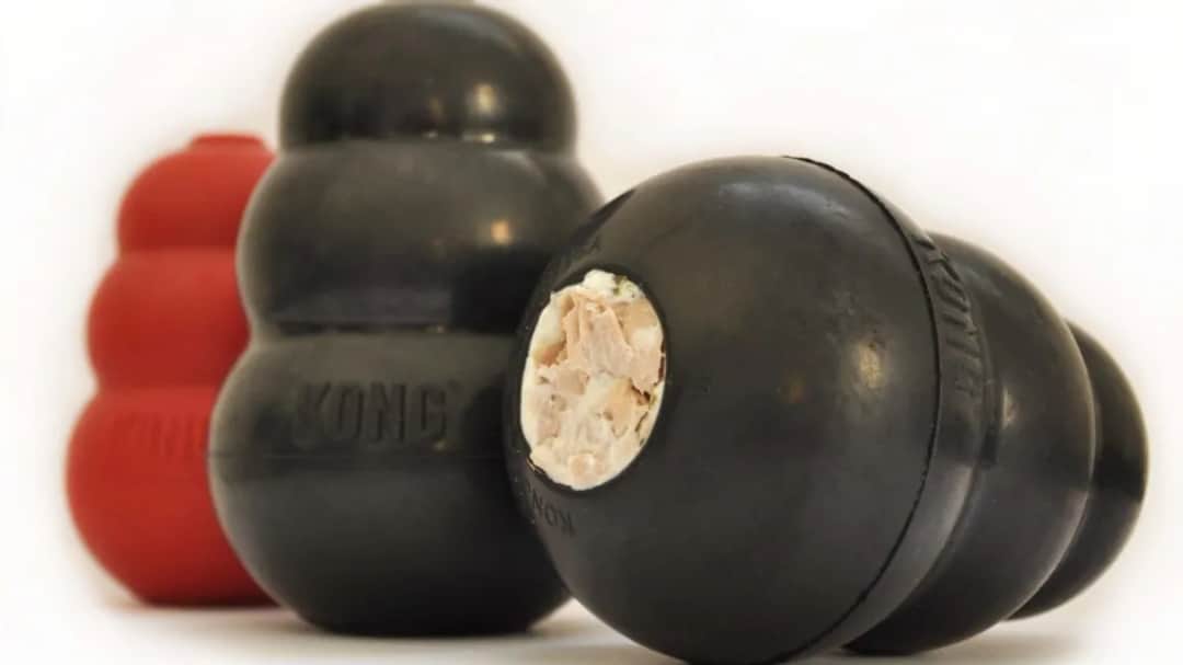 Jak używać kong zabawka dla psa, aby uspokoić i zaangażować pupila