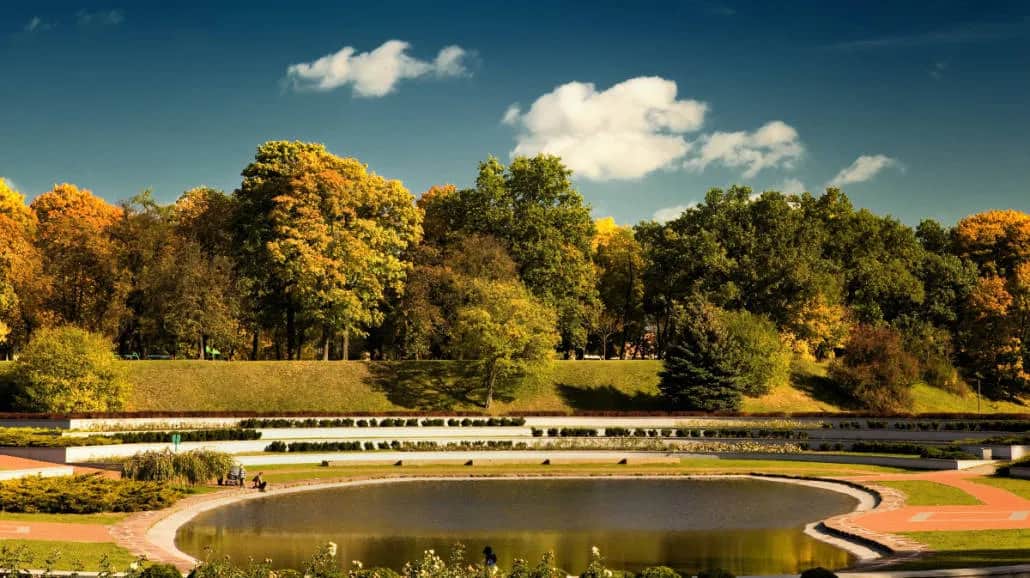 Gdzie z psem na spacer w Poznaniu? Odkryj najlepsze miejsca