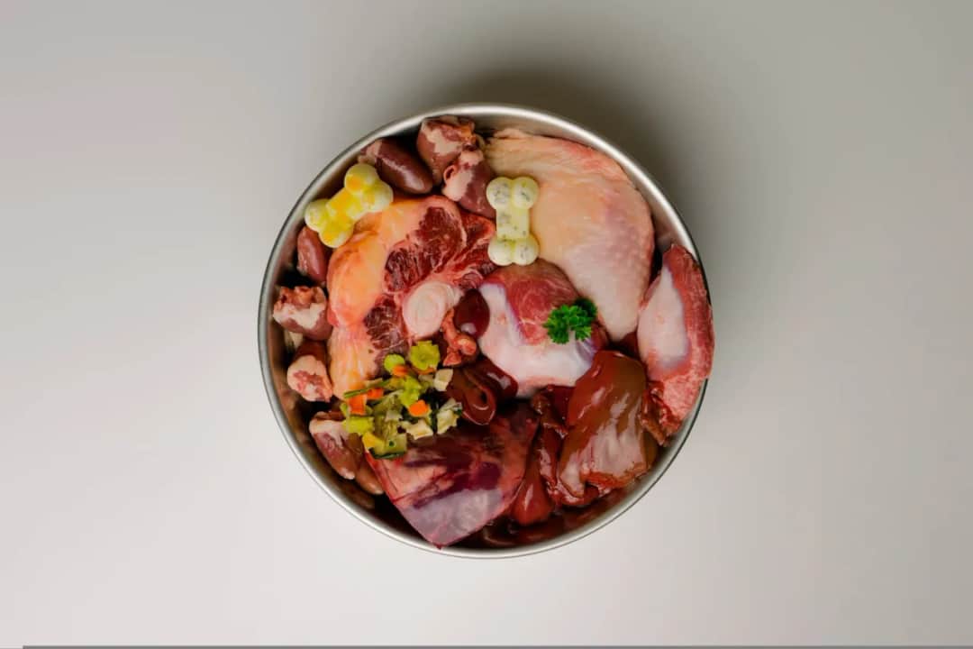 Od kiedy surowe mięso dla psa? Kluczowe informacje i porady zdrowotne