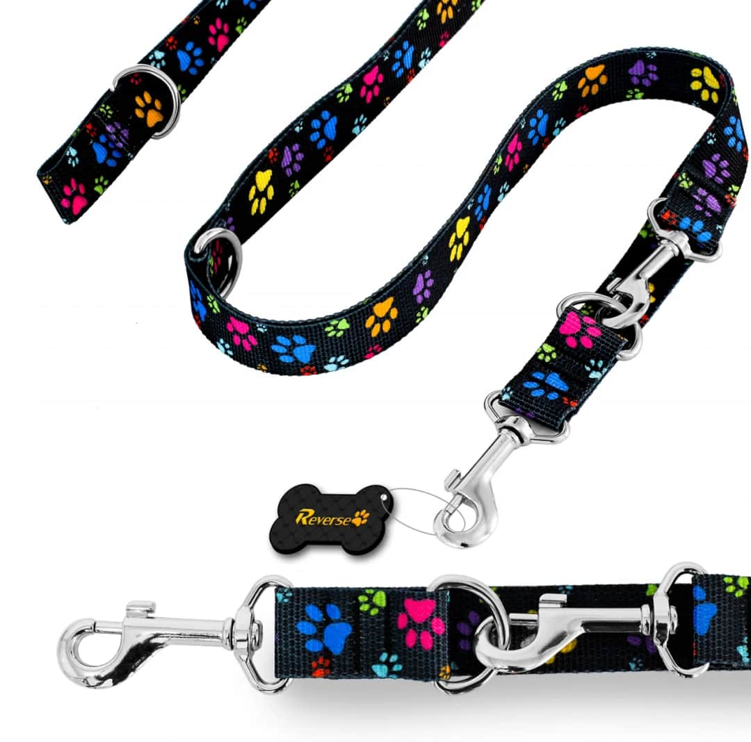 Ile kosztuje smycz dla psa? Ceny, które Cię zaskoczą!