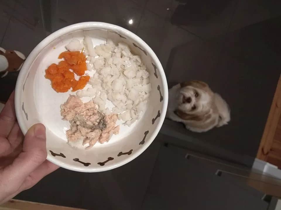 Ile gotować mięso dla psa, aby było zdrowe i smaczne?