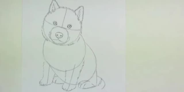 Jak łatwo narysować psa husky krok po kroku dla początkujących