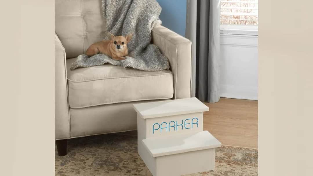 Jak zrobić schody dla psa, aby zapewnić mu bezpieczeństwo i komfort